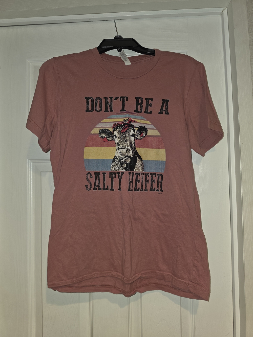 Bella Canvas Dusty Rose "Don't Be A Salty Heifer" Graphic Tee
